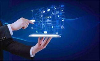 京师长圆加盟指南 费用、条件与官方招商渠道详解